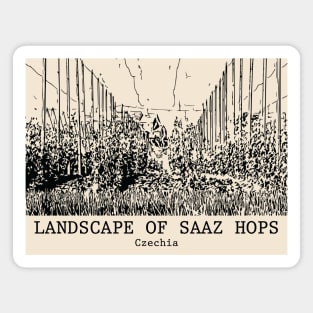 Landscape of Saaz Hops - Czechia Magnet